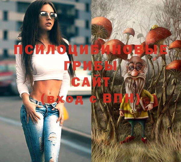 spice Тында